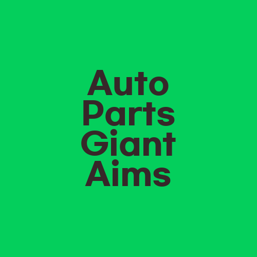 Auto Parts Giant Aims